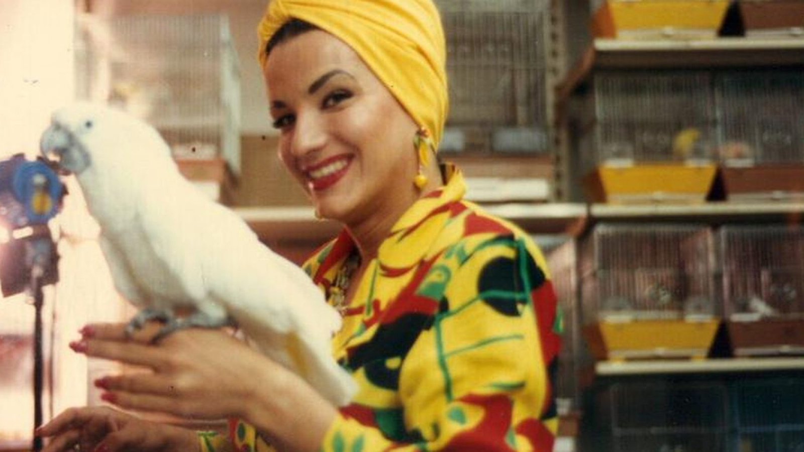 Crédito: agenciabrasil.ebc.com.br