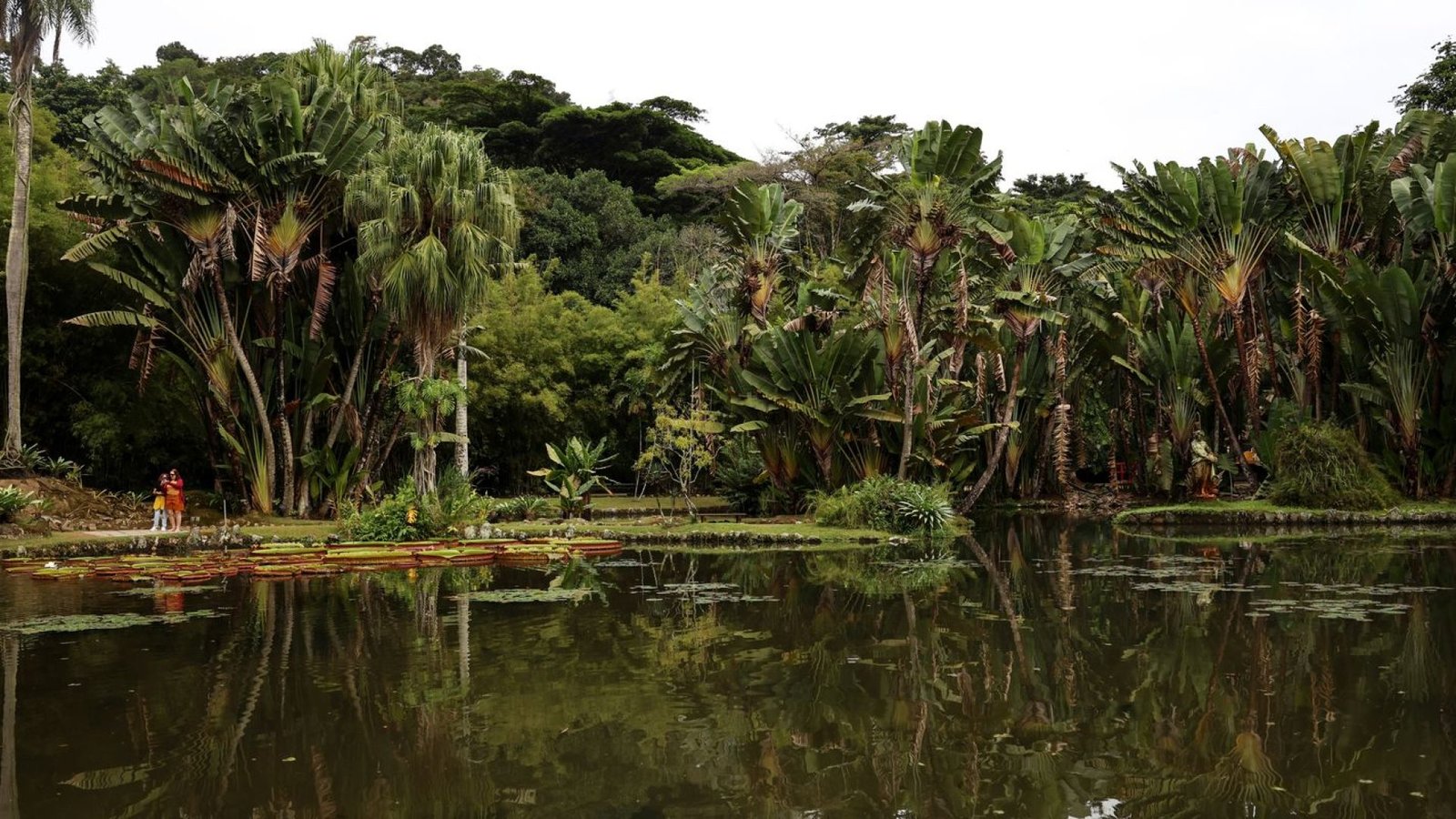 Crédito: agenciabrasil.ebc.com.br