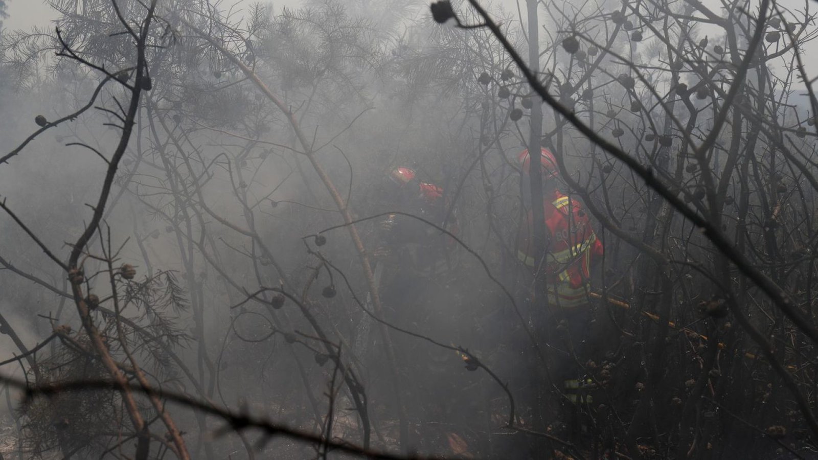 Crédito: agenciabrasil.ebc.com.br