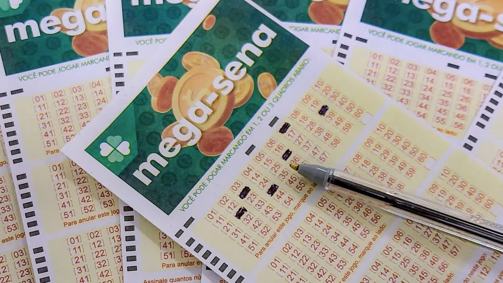 Crédito: agenciabrasil.ebc.com.br