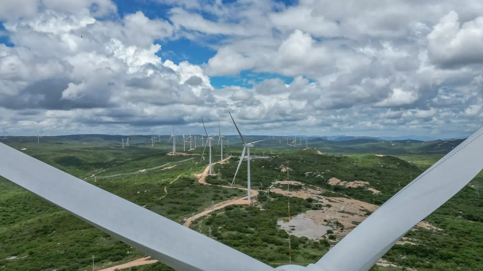 Crédito: agenciabrasil.ebc.com.br