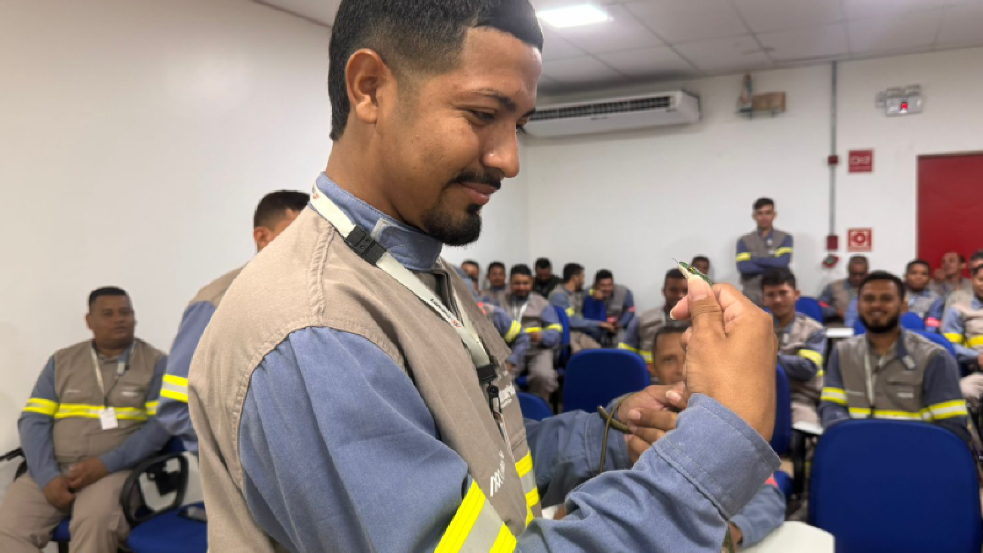Foto: Divulgação