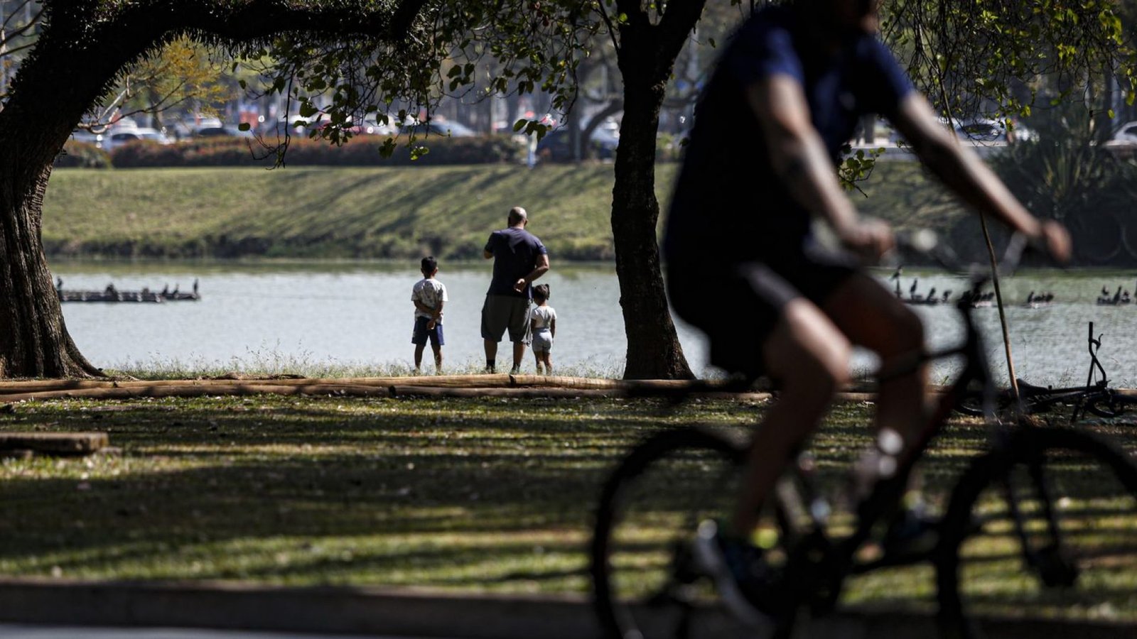 Crédito: agenciabrasil.ebc.com.br