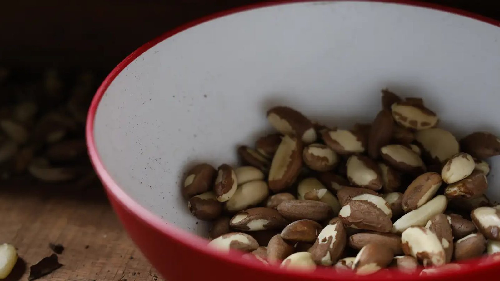 Crédito: agenciabrasil.ebc.com.br