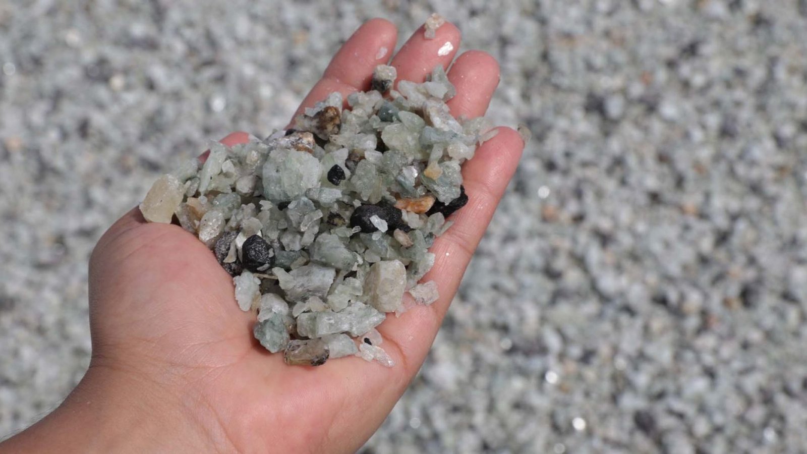 Crédito: agenciabrasil.ebc.com.br