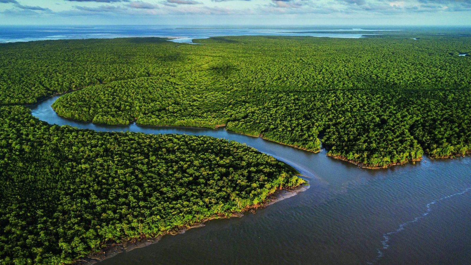 Crédito: agenciabrasil.ebc.com.br