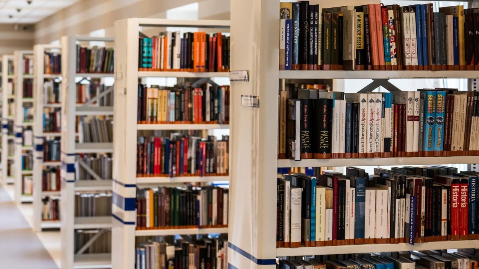 Crédito: agenciabrasil.ebc.com.br