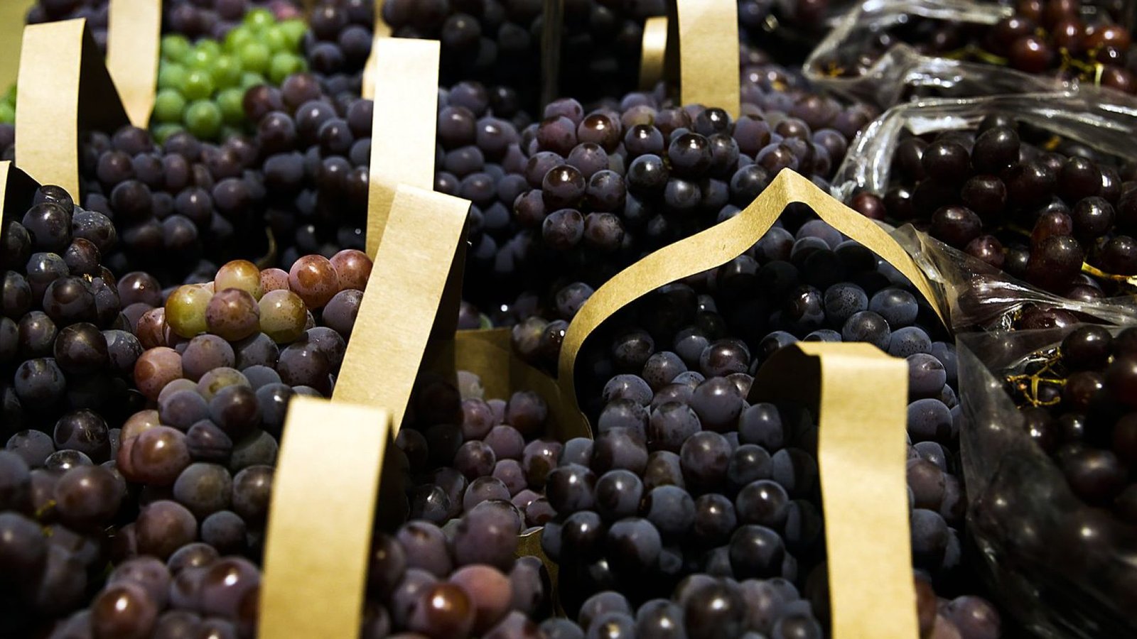 Crédito: agenciabrasil.ebc.com.br